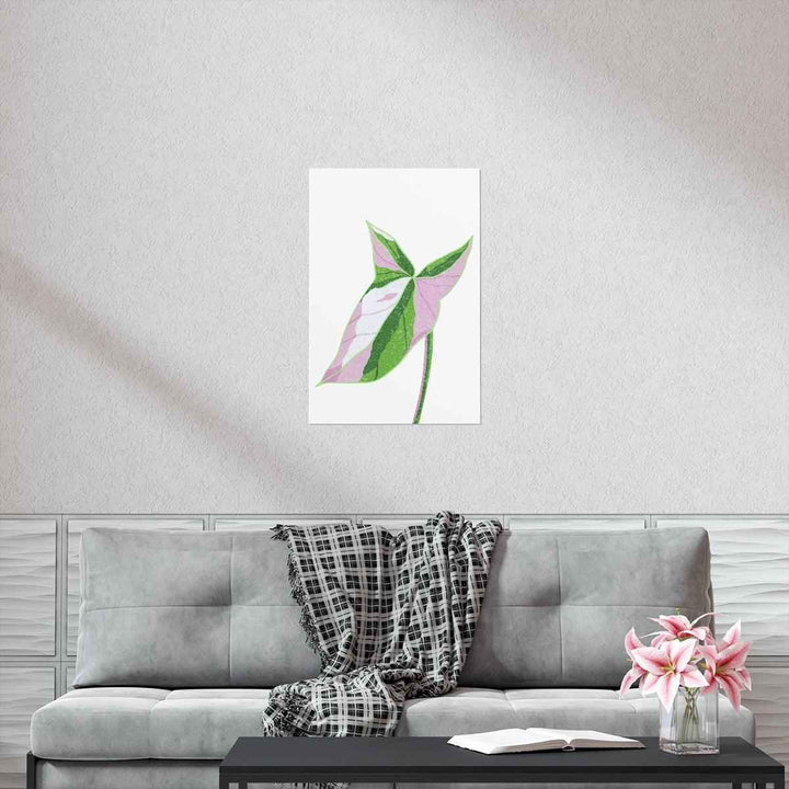 Syngonium Tricolor Print – Botanical Wall Art | Variegated Leaf Poster Unframed - The Potted Pixel