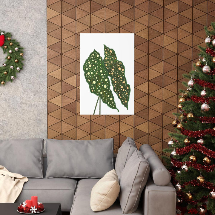 Begonia Maculata Print - Botanical Wall Art on Museum Grade Paper | Matte Finish Unframed - The Potted Pixel