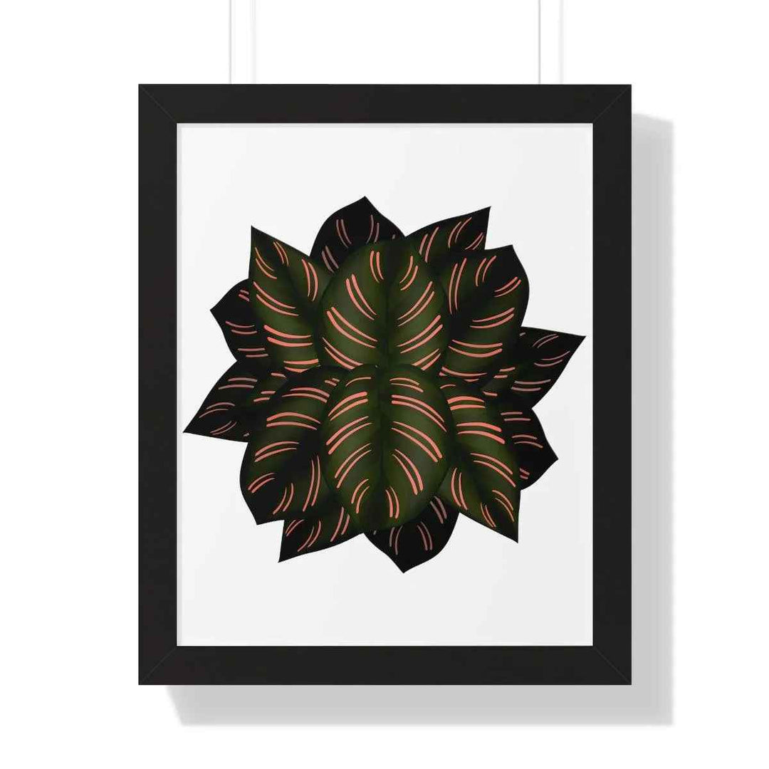 Calathea Pinstripe Print - Framed Botanical Art With Matte Finish & Acrylic Cover - The Potted Pixel
