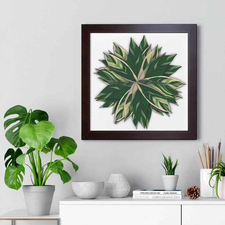 Stromanthe Triostar Framed Print, Poster, Laura Christine Photography & Design, Framed, Home & Living, Indoor, Paper, Posters, Laura Christine Photography & Design, laurachristinedesign.com