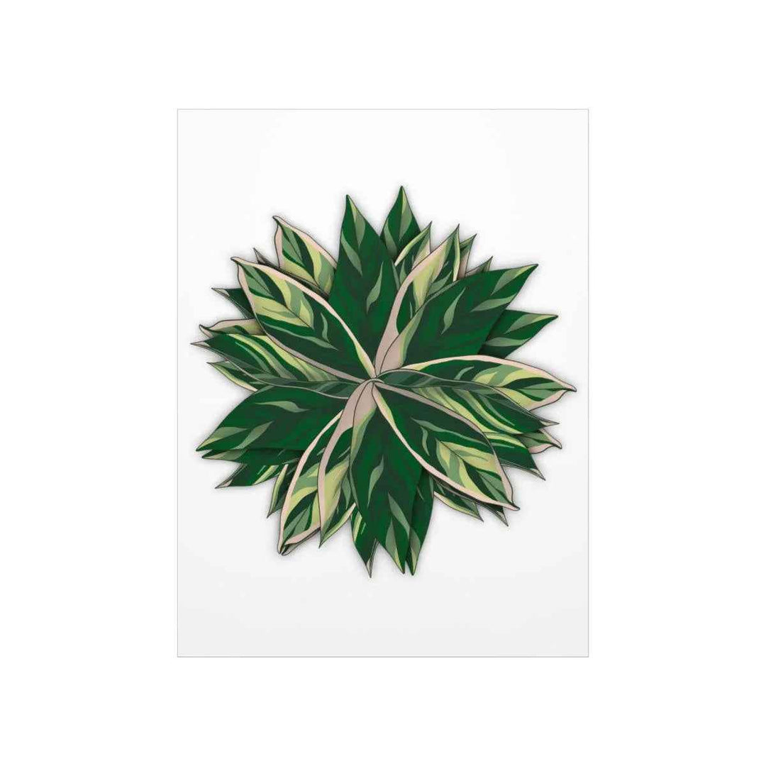 Stromanthe Triostar Print – Tropical Wall Art | Botanical Poster on Museum Grade Paper Unframed - The Potted Pixel