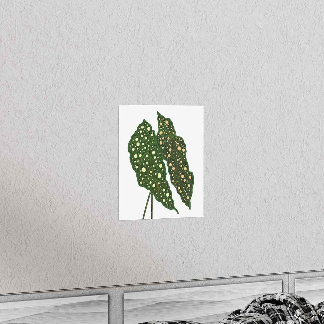 Begonia Maculata Print - Botanical Wall Art on Museum Grade Paper | Matte Finish Unframed - The Potted Pixel