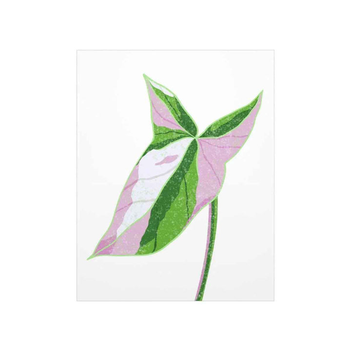 Syngonium Tricolor Print – Botanical Wall Art | Variegated Leaf Poster Unframed - The Potted Pixel