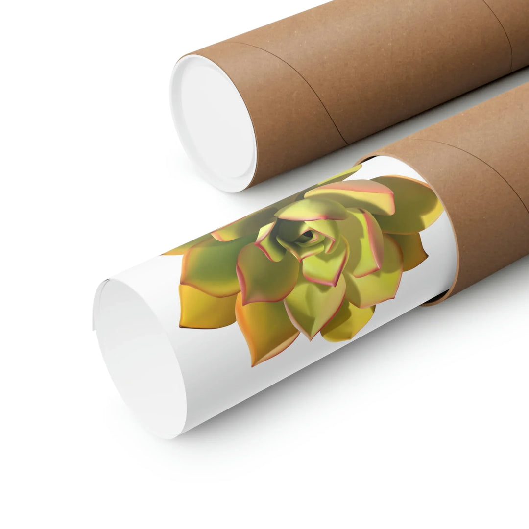 Noble Aeonium Print Vibrant Succulent Wall Art on Museum Grade Paper Poster Unframed