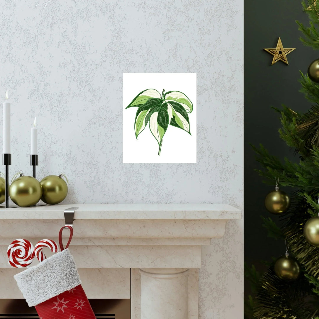 Philodendron 'Cream Splash' Print, Poster, Printify, Back to School, Home & Living, Indoor, Matte, Paper, Posters, Valentine's Day promotion, Laura Christine Photography & Design, laurachristinedesign.com