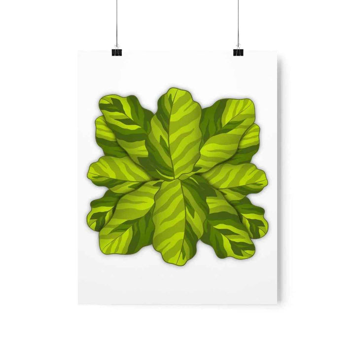 Calathea Yellow Fusion Print – Botanical Wall Art on Museum-Grade Paper Unframed - The Potted Pixel
