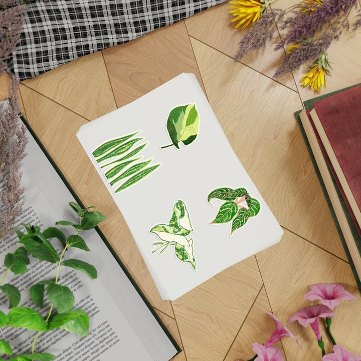 House Plant Stickers Group #5 - 5-Sheet Bundle, Paper products, Laura Christine Photography & Design, Aglaonema, Chinese Evergreen, Decal, Decoration, Eco-friendly, Gift, Home & Living, House Plant, Illustration, Indoor Plant, Kids Stickers, Laptop Sticker, Made in USA, Magnets & Stickers, Paper, Plant, Sparklng Sarah, Sticker, Stickers, Laura Christine Photography & Design, laurachristinedesign.com