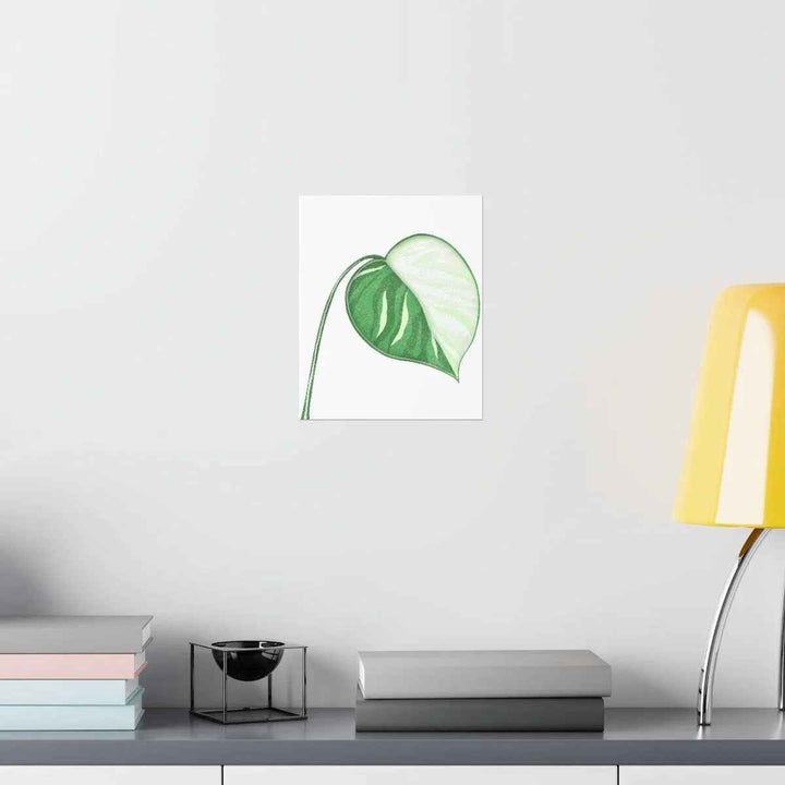 Monstera Albo Print – Large Tropical Leaf Poster | Museum Grade Paper Artwork Unframed
