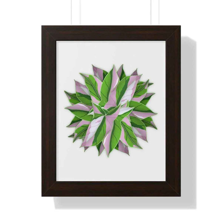 Syngonium Tricolor Print - Framed Botanical Art With Matte Finish & Acrylic Cover - The Potted Pixel