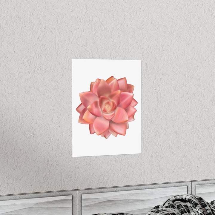 Graptosedum 'California Sunset'  Succulent Print, Poster, Laura Christine Photography & Design, Back to School, Home & Living, Indoor, Matte, Paper, Posters, Valentine's Day promotion, Laura Christine Photography & Design, laurachristinedesign.com