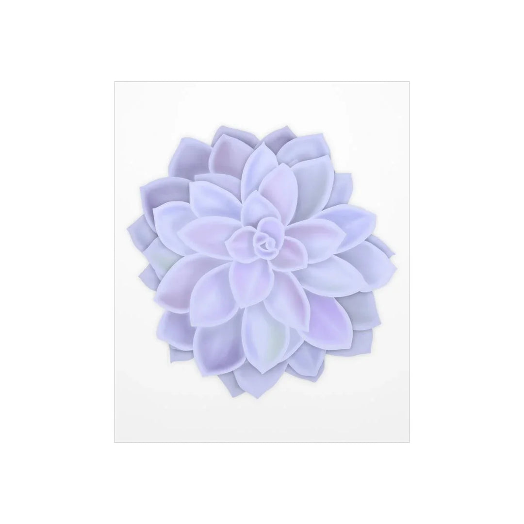 Graptopetalum 'Murasaki' Succulent Print, Poster, Laura Christine Photography & Design, Back to School, Home & Living, Indoor, Matte, Paper, Posters, Valentine's Day promotion, Laura Christine Photography & Design, laurachristinedesign.com