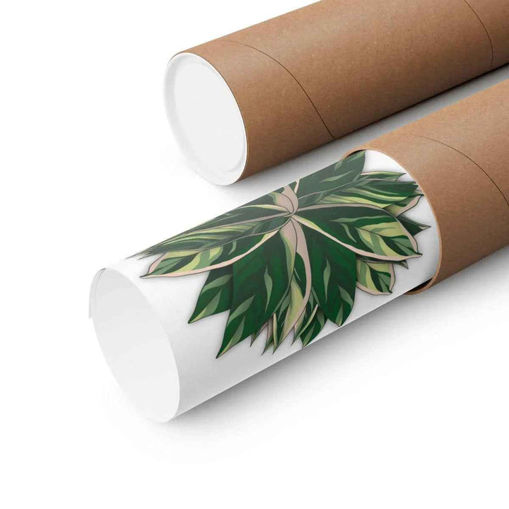 Stromanthe Triostar Print – Tropical Wall Art | Botanical Poster on Museum Grade Paper Unframed - The Potted Pixel