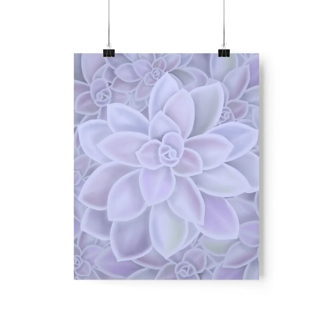 Graptopetalum 'Murasaki' Succulent Print, Poster, Laura Christine Photography & Design, Back to School, Home & Living, Indoor, Matte, Paper, Posters, Valentine's Day promotion, Laura Christine Photography & Design, laurachristinedesign.com