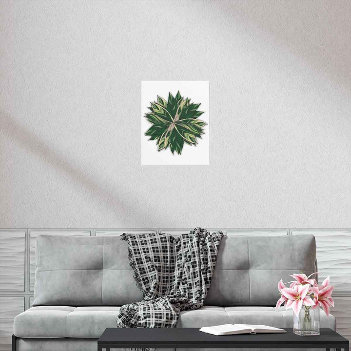 Stromanthe Triostar Print – Tropical Wall Art | Botanical Poster on Museum Grade Paper Unframed - The Potted Pixel