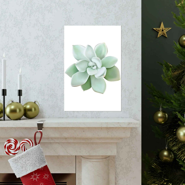 POS Pachyveria Print