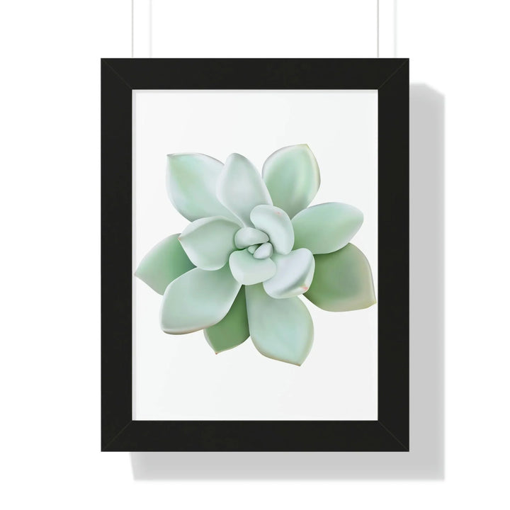 Pachyveria Haagei Succulent Framed Print, Poster, Printify, Framed, Home & Living, Indoor, Paper, Posters, Laura Christine Photography & Design, laurachristinedesign.com