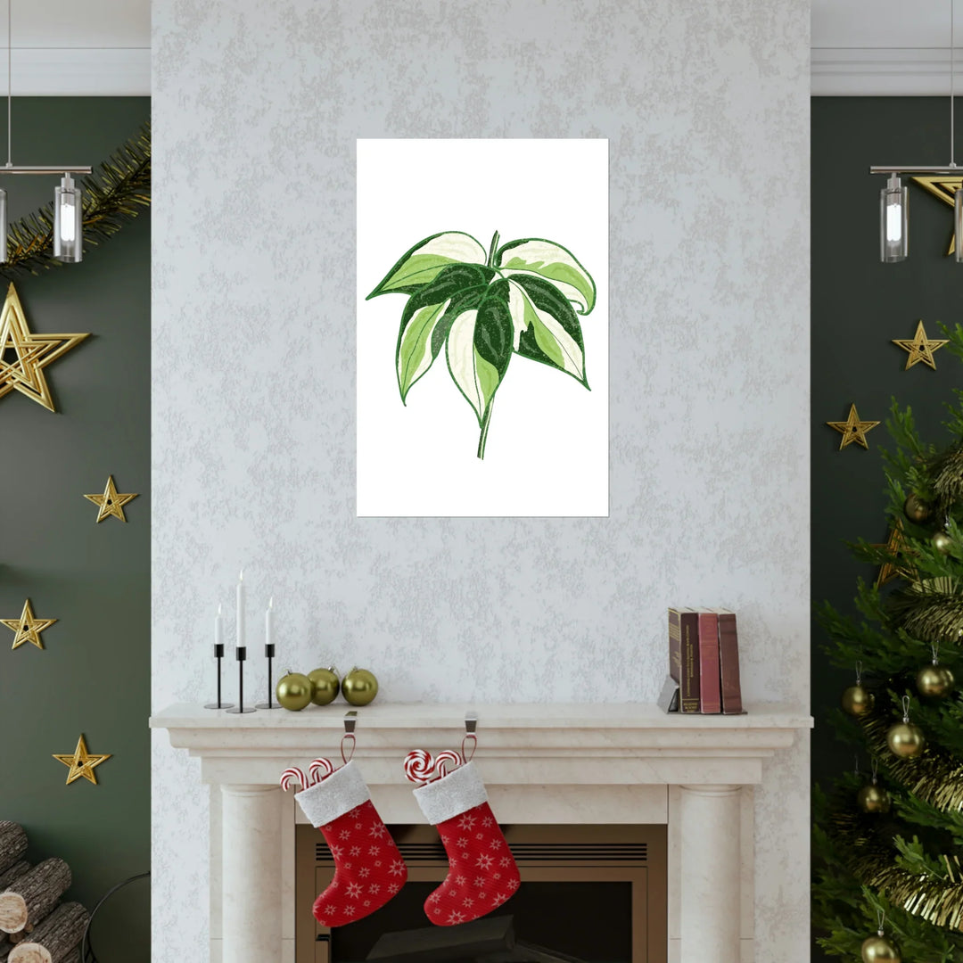 Philodendron Cream Splash Print Variegated Philodendron Poster On Museum Grade Paper Unframed