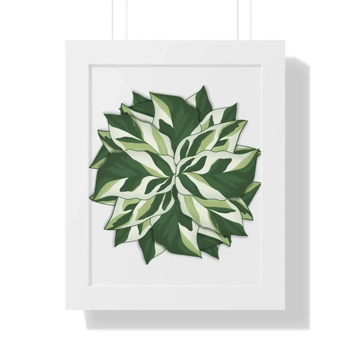 Calathea White Fusion Framed Print, Poster, Laura Christine Photography & Design, Bottle, Calathea, Canvas Bag, Coffee, Drinkware, Framed, Home & Living, Indoor, Paper, Posters, Prayer Plant, Reusable, Shopping Bag, Tea, Tote Bag, Travel, Tumbler, Water, White Fusion, Laura Christine Photography & Design, laurachristinedesign.com