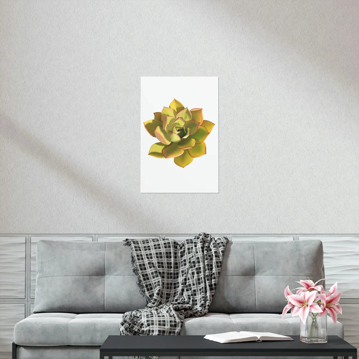 Noble Aeonium Print Vibrant Succulent Wall Art on Museum Grade Paper Poster Unframed