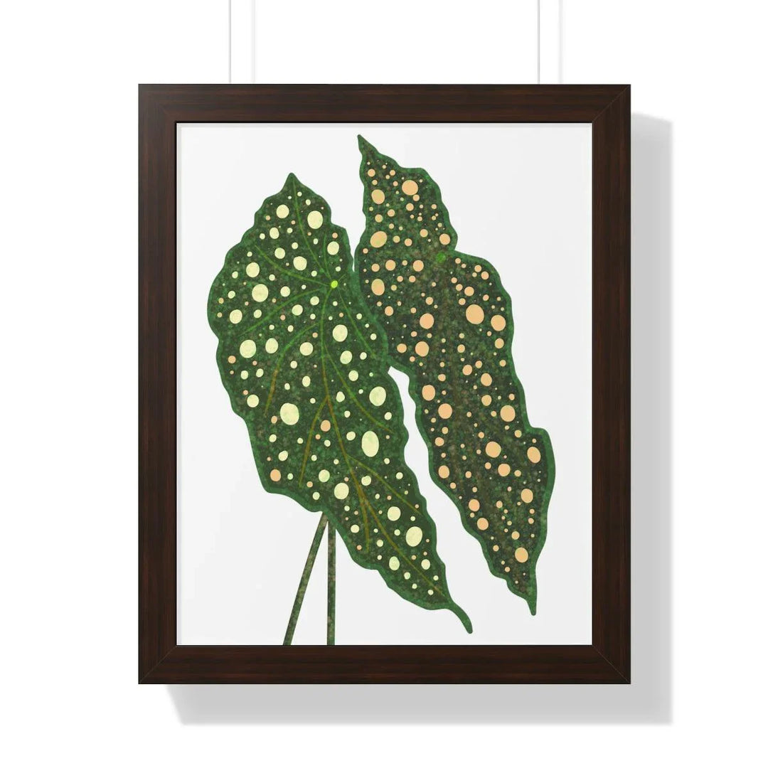 Begonia Maculata Framed Print, Poster, Laura Christine Photography & Design, Framed, Home & Living, Indoor, Paper, Posters, Laura Christine Photography & Design, laurachristinedesign.com