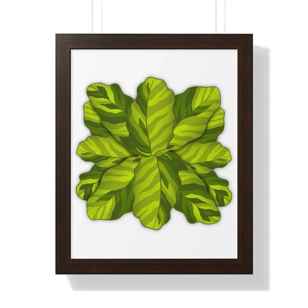 Calathea Yellow Fusion Framed Print, Poster, Laura Christine Photography & Design, Bottle, Calathea, Canvas Bag, Coffee, Drinkware, Framed, Home & Living, Indoor, Paper, Posters, Prayer Plant, Reusable, Shopping Bag, Tea, Tote Bag, Travel, Tumbler, Water, Yellow Fusion, Laura Christine Photography & Design, laurachristinedesign.com