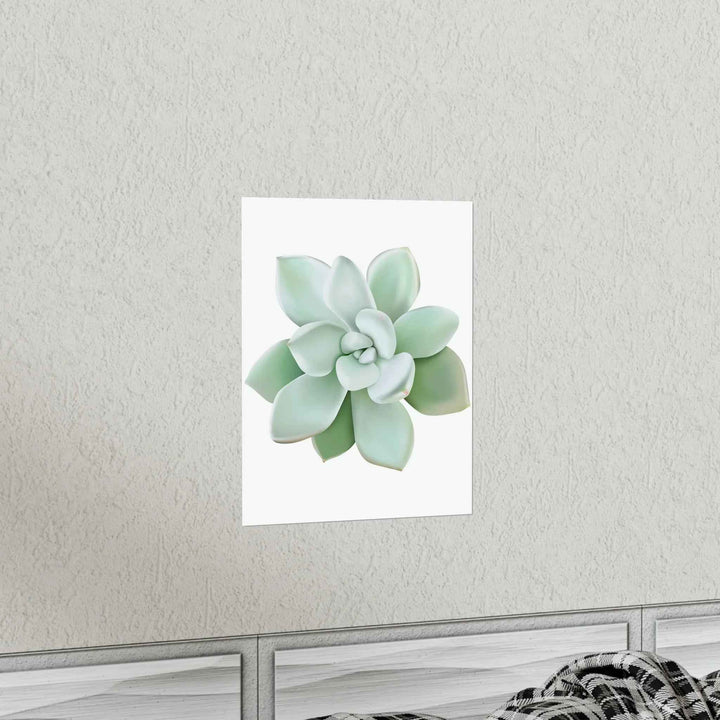 POS Pachyveria Print