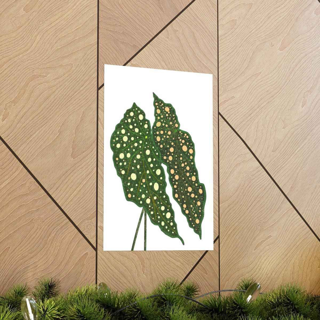 Begonia Maculata Print - Botanical Wall Art on Museum Grade Paper | Matte Finish Unframed - The Potted Pixel
