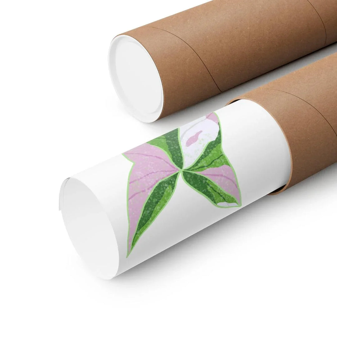 Syngonium Tricolor Print – Botanical Wall Art | Variegated Leaf Poster Unframed - The Potted Pixel