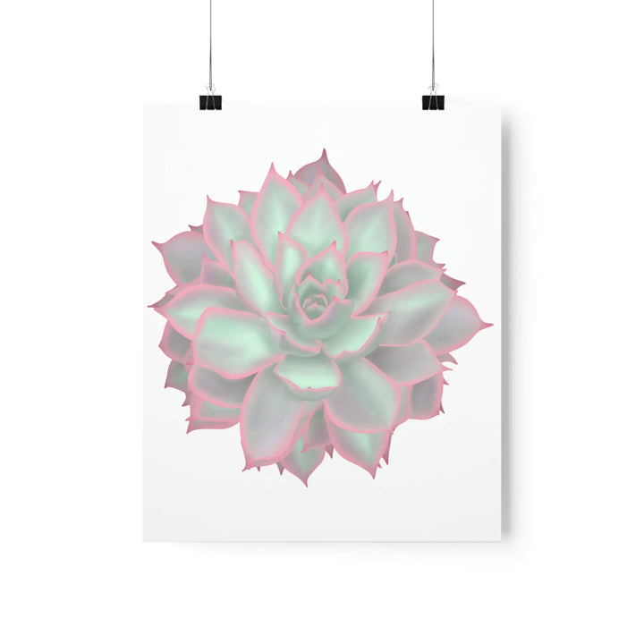Echeveria Violet Queen Print Succulent Wall Art Botanical Poster On Museum Grade Paper For Indoor Plant Decor