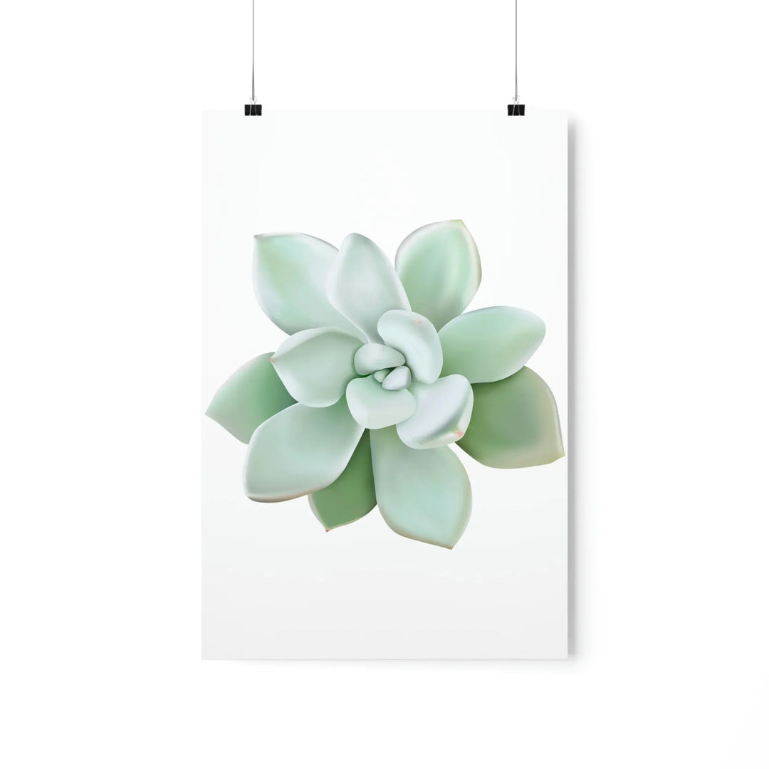 Succulent Wall Art Pachyveria Haagei Botanical Poster on Museum Grade Paper for Calm Home Decor
