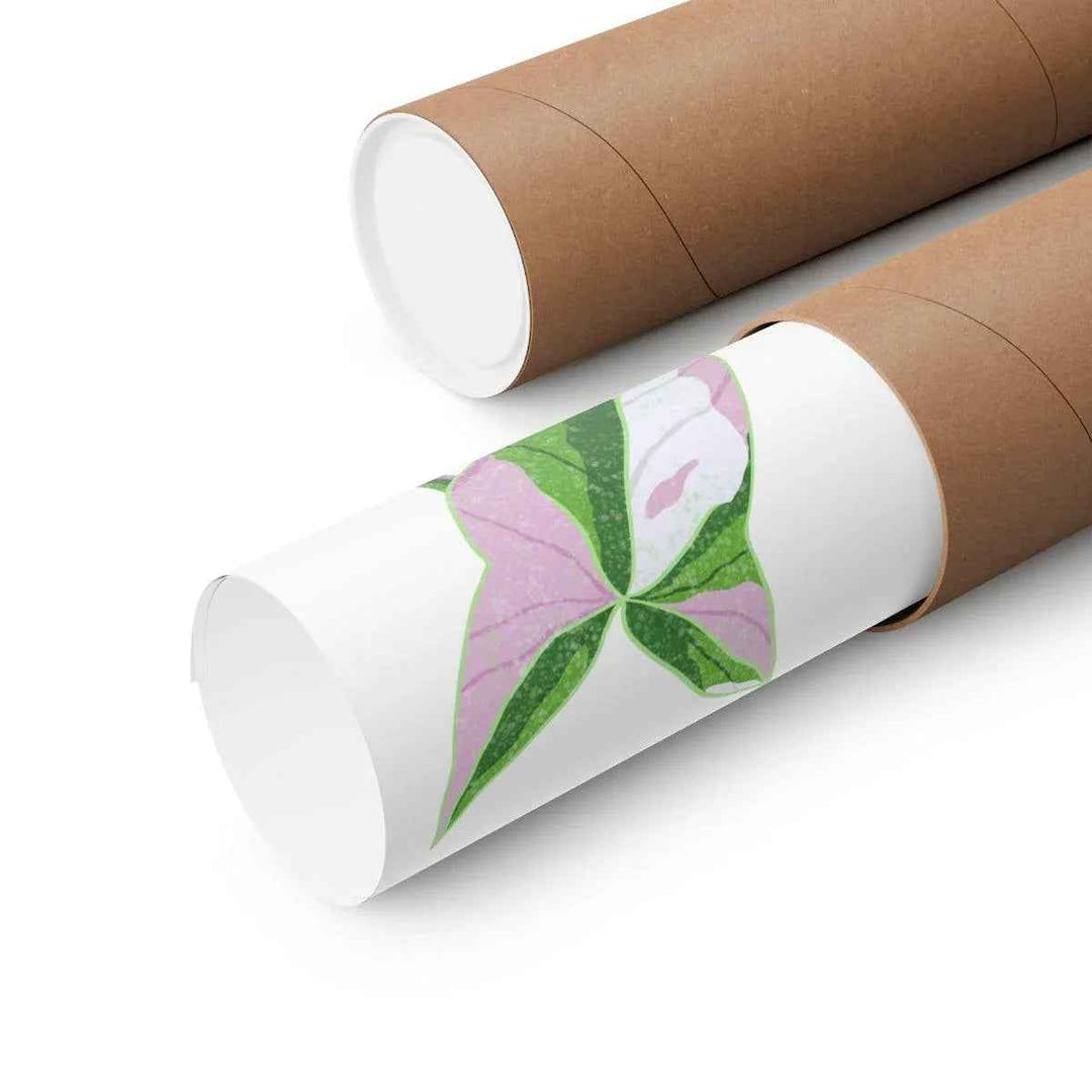 Syngonium Tricolor Print – Botanical Wall Art | Variegated Leaf Poster Unframed - The Potted Pixel