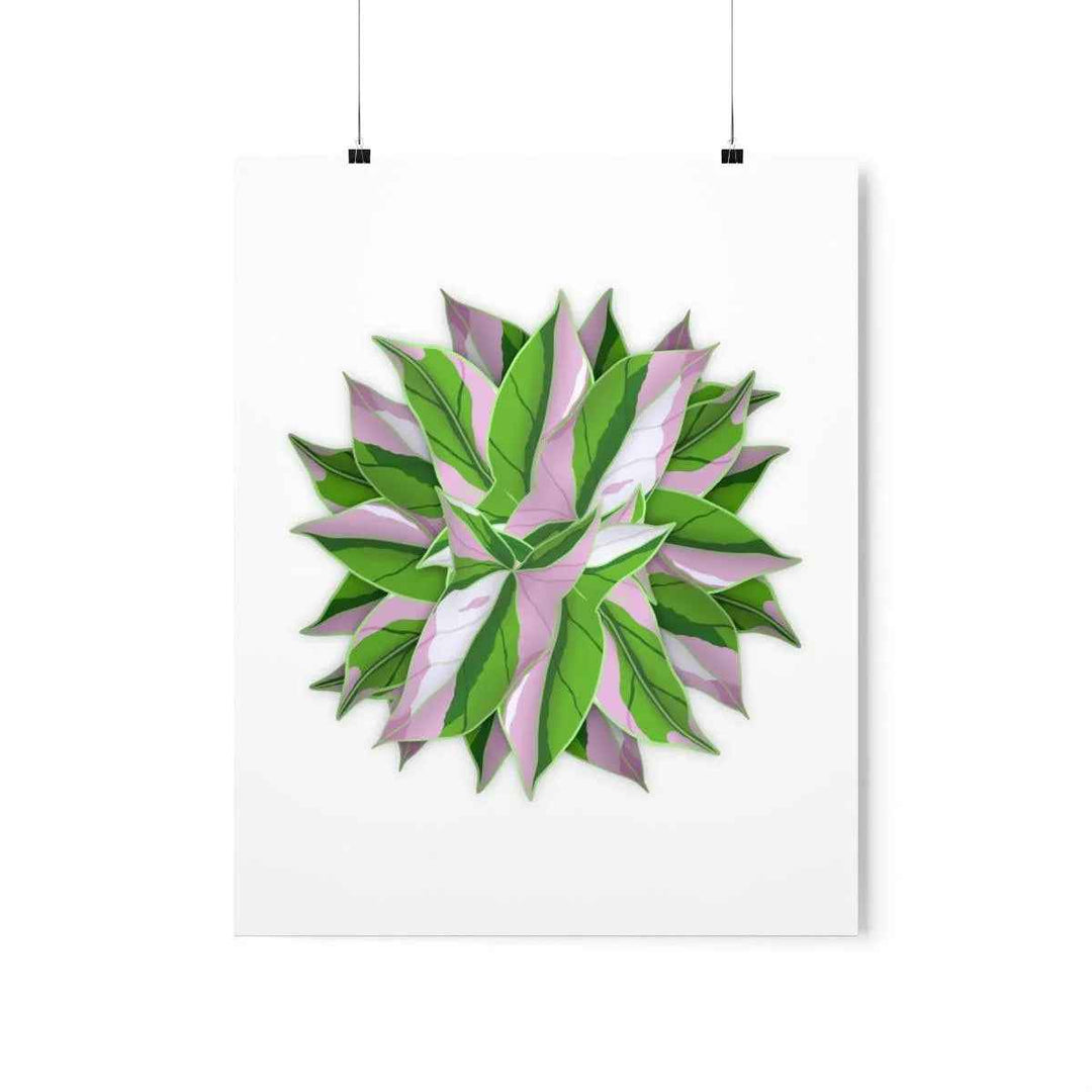 Syngonium Tricolor Botanical Print – Unframed Wall Art - The Potted Pixel