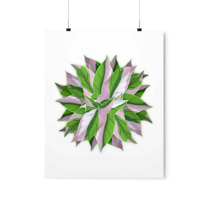 Syngonium Tricolor Botanical Print – Unframed Wall Art - The Potted Pixel