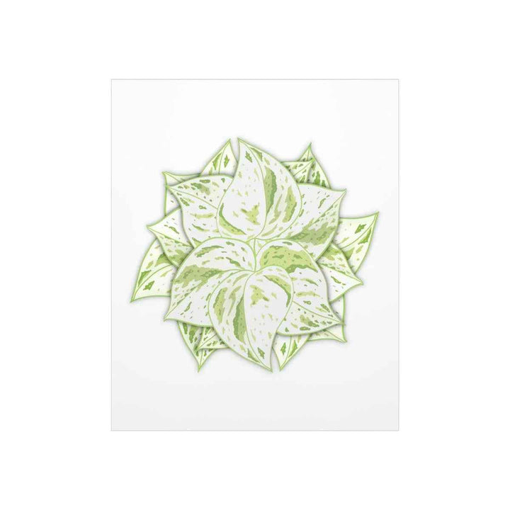 Snow Queen Pothos Print – Variegated Pothos Art on Museum Grade Paper Unframed - The Potted Pixel