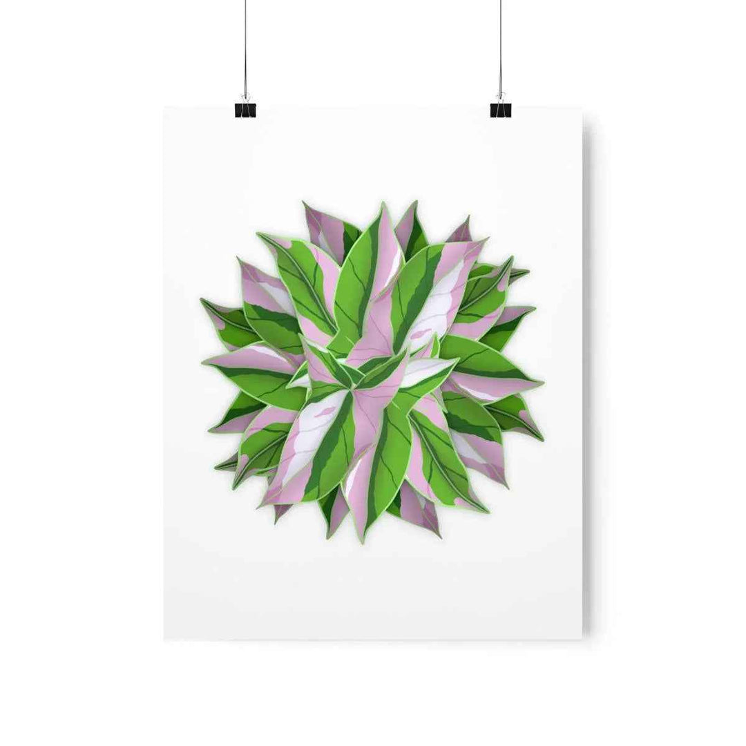 Syngonium Tricolor Botanical Print – Unframed Wall Art - The Potted Pixel
