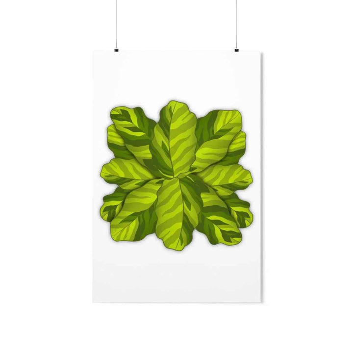 Calathea Yellow Fusion Print – Botanical Wall Art on Museum-Grade Paper Unframed - The Potted Pixel