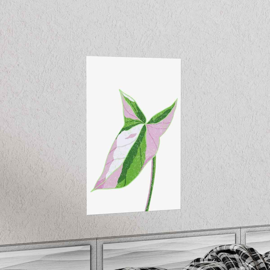 Syngonium Tricolor Print – Botanical Wall Art | Variegated Leaf Poster Unframed - The Potted Pixel