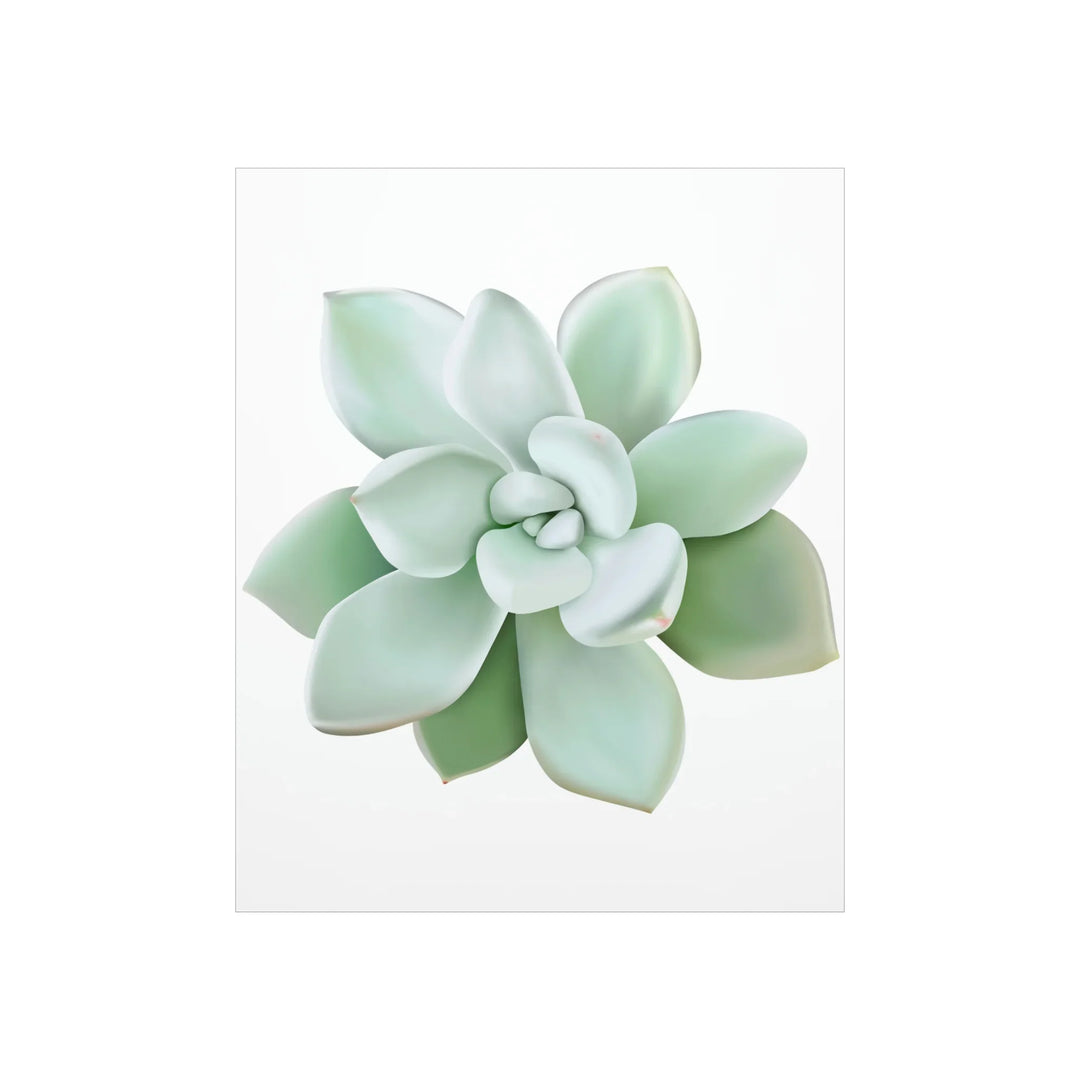 Succulent Wall Art Pachyveria Haagei Botanical Poster on Museum Grade Paper for Calm Home Decor