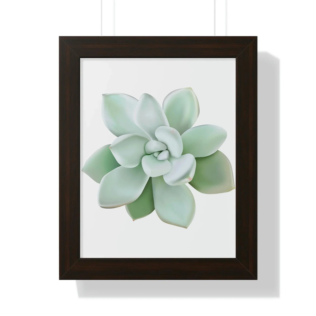 Pachyveria Haagei Succulent Framed Print, Poster, Printify, Framed, Home & Living, Indoor, Paper, Posters, Laura Christine Photography & Design, laurachristinedesign.com