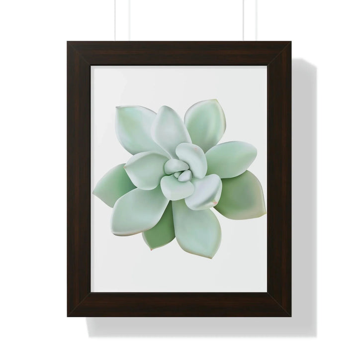Pachyveria Haagei Succulent Framed Print, Poster, Printify, Framed, Home & Living, Indoor, Paper, Posters, Laura Christine Photography & Design, laurachristinedesign.com