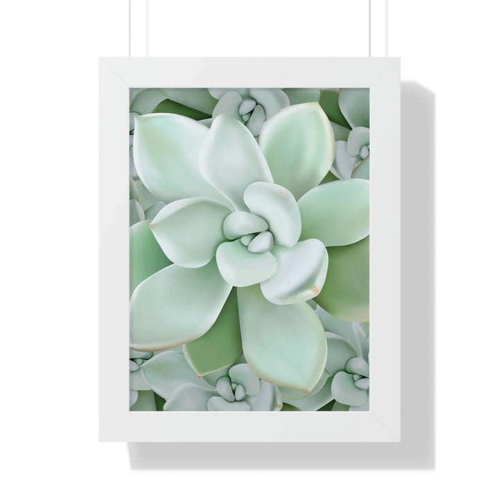 Pachyveria Haagei Succulent Pattern Framed Print, Poster, Printify, Framed, Home & Living, Indoor, Paper, Posters, Laura Christine Photography & Design, laurachristinedesign.com