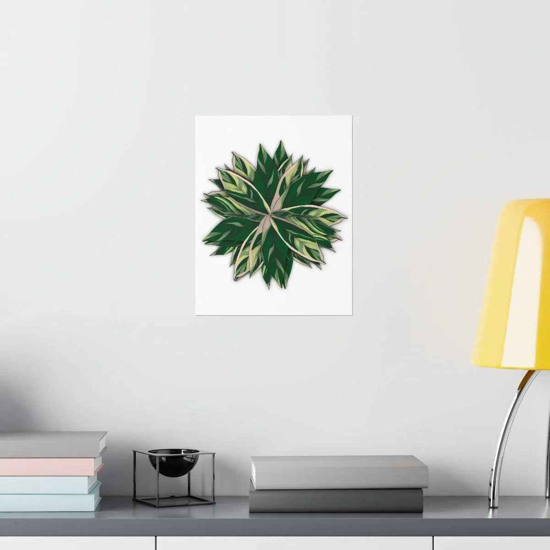 Stromanthe Triostar Print – Tropical Wall Art | Botanical Poster on Museum Grade Paper Unframed - The Potted Pixel