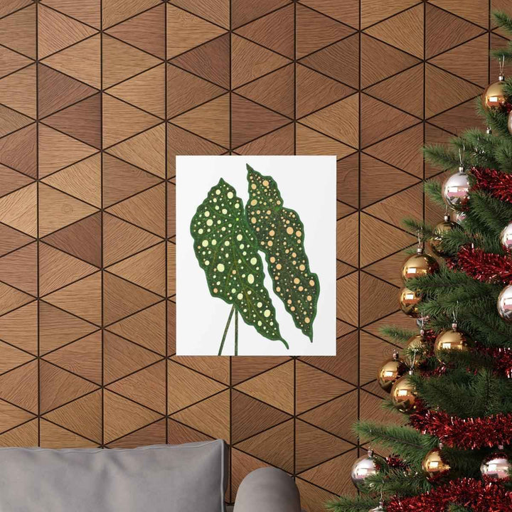 Begonia Maculata Print - Botanical Wall Art on Museum Grade Paper | Matte Finish Unframed - The Potted Pixel