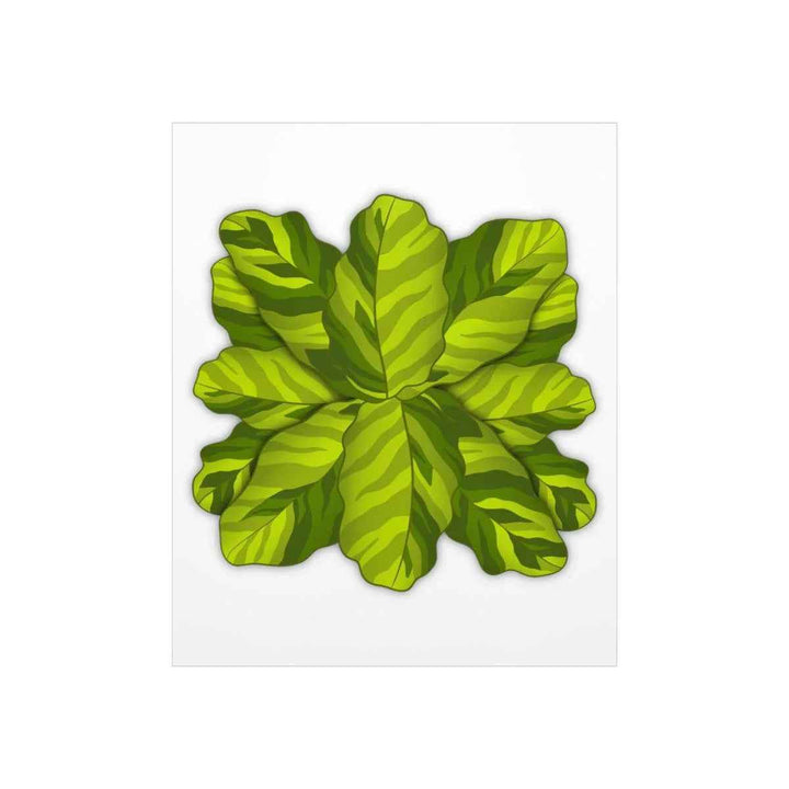 Calathea Yellow Fusion Print – Botanical Wall Art on Museum-Grade Paper Unframed - The Potted Pixel