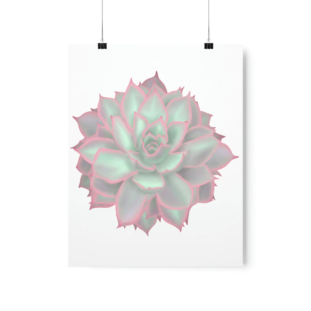 Echeveria Violet Queen Print Succulent Wall Art Botanical Poster On Museum Grade Paper For Indoor Plant Decor
