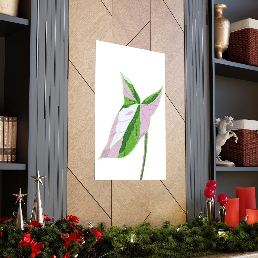 Syngonium Tricolor Print – Botanical Wall Art | Variegated Leaf Poster Unframed - The Potted Pixel