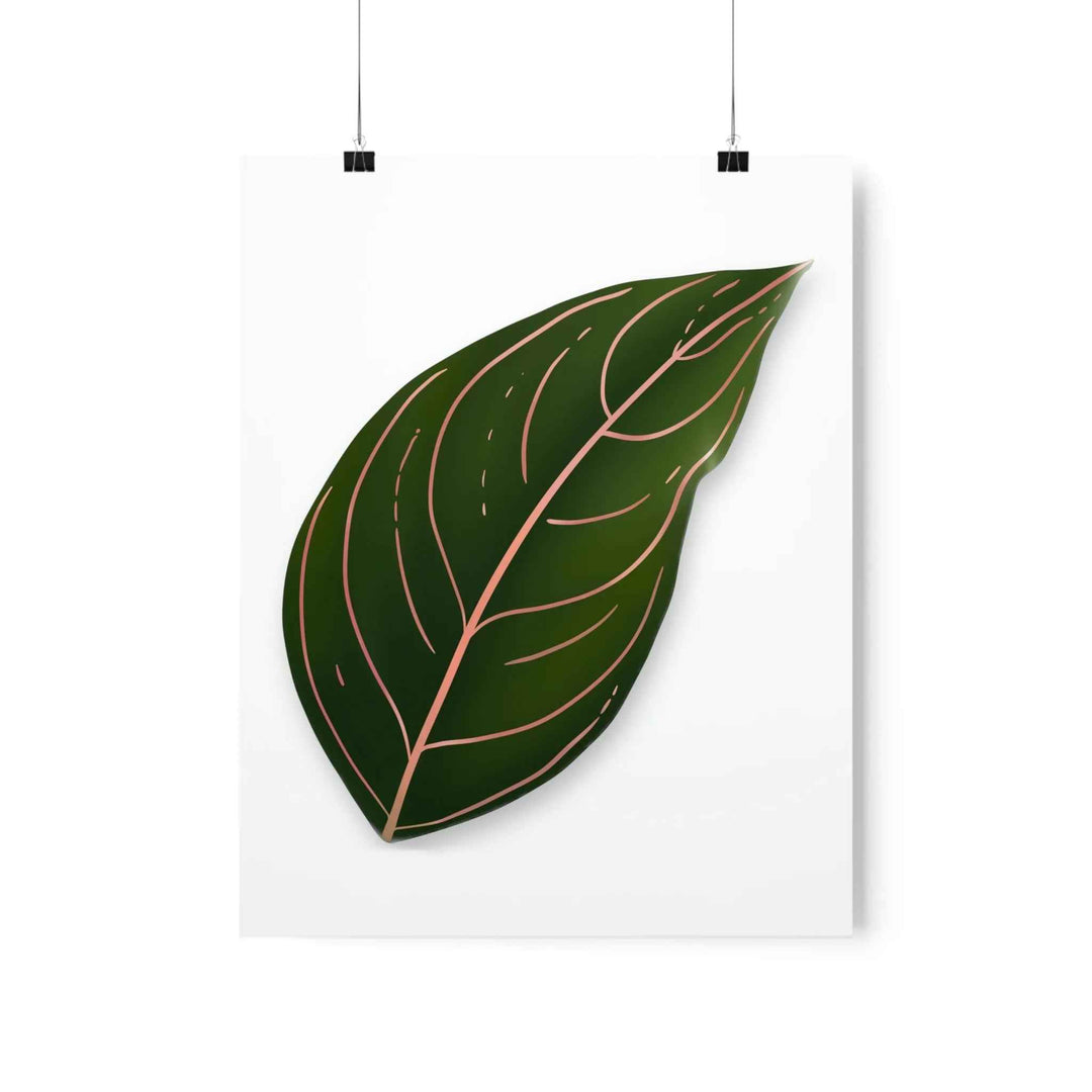 POS Aglaonema Rotundum Print