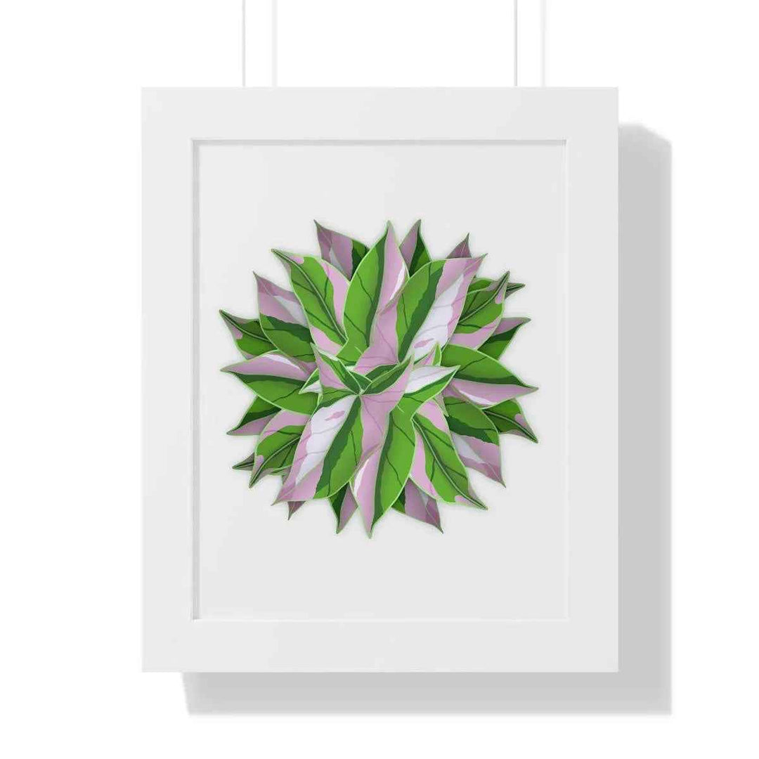 Syngonium Tricolor Print - Framed Botanical Art With Matte Finish & Acrylic Cover - The Potted Pixel