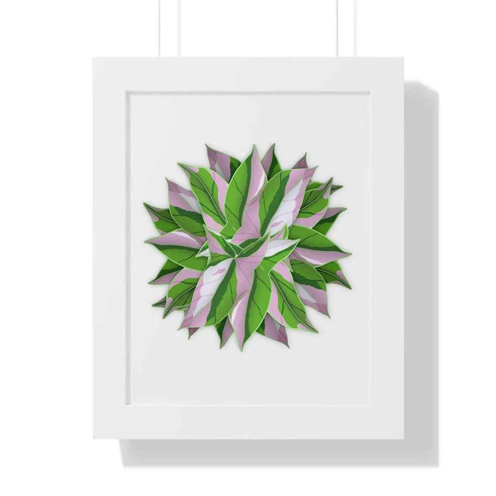 Syngonium Tricolor Print - Framed Botanical Art With Matte Finish & Acrylic Cover - The Potted Pixel
