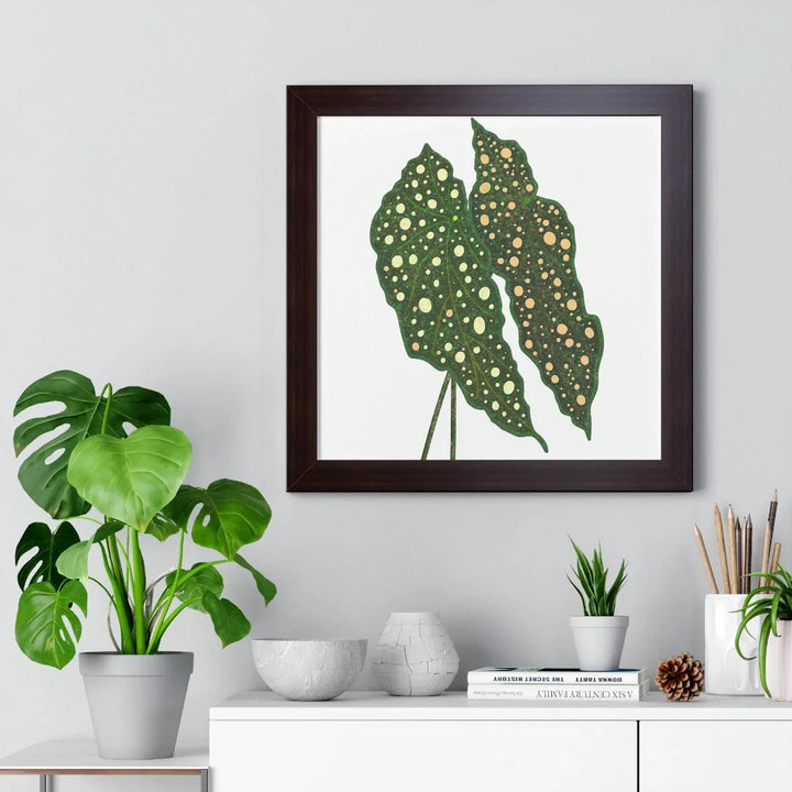Begonia Maculata Framed Print, Poster, Laura Christine Photography & Design, Framed, Home & Living, Indoor, Paper, Posters, Laura Christine Photography & Design, laurachristinedesign.com
